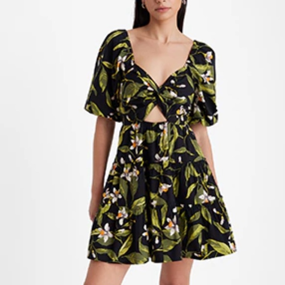 Express Floral V-Neck Puff Sleeve Cutout Tiered Mini Dress